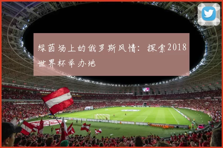 绿茵场上的俄罗斯风情:探索2018世界杯举办地