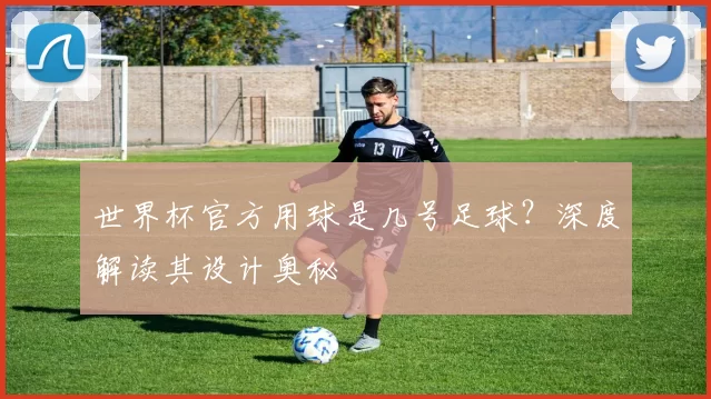 世界杯官方用球是几号足球？深度解读其设计奥秘