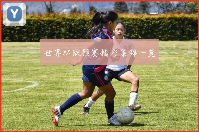 世界杯欧预赛精彩集锦一览