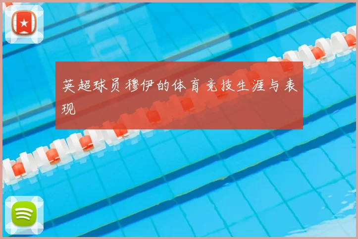 英超球员穆伊的体育竞技生涯与表现