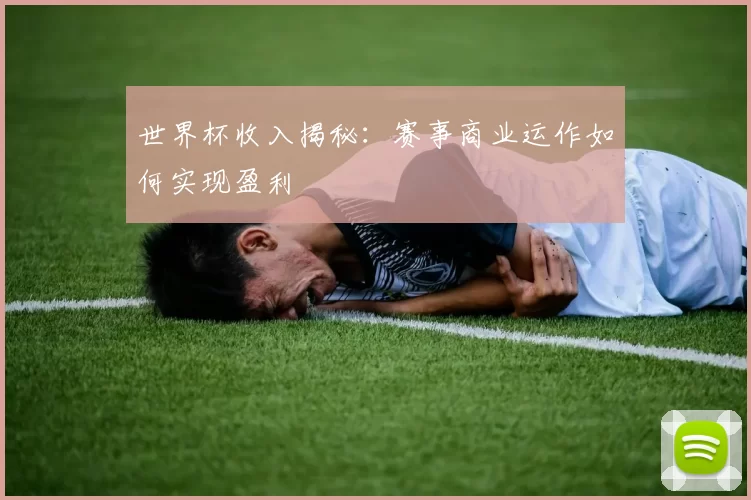 世界杯收入揭秘：赛事商业运作如何实现盈利