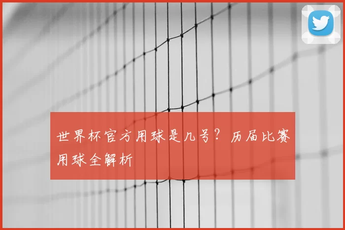 世界杯官方用球是几号?历届比赛用球全解析