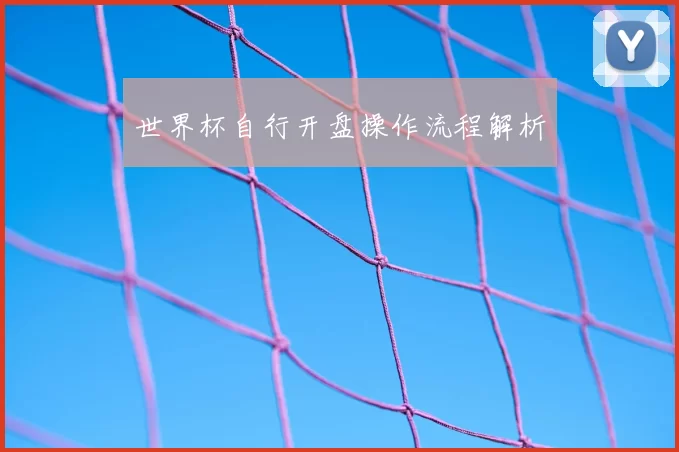 世界杯自行开盘操作流程解析