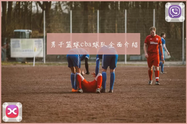 男子篮球cba球队全面介绍