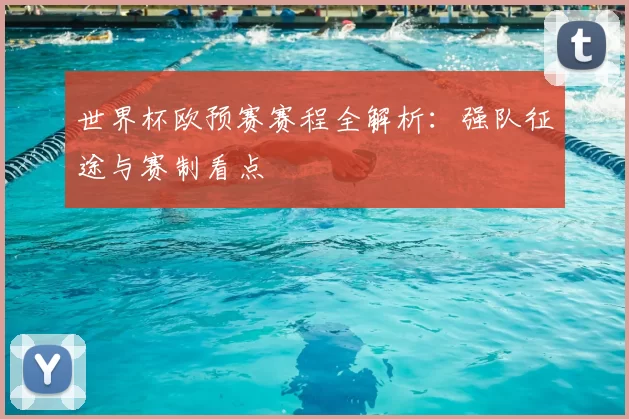 世界杯欧预赛赛程全解析：强队征途与赛制看点