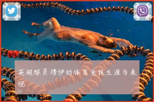 英超球员穆伊的体育竞技生涯与表现