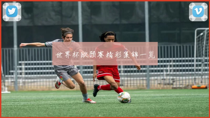 世界杯欧预赛精彩集锦一览