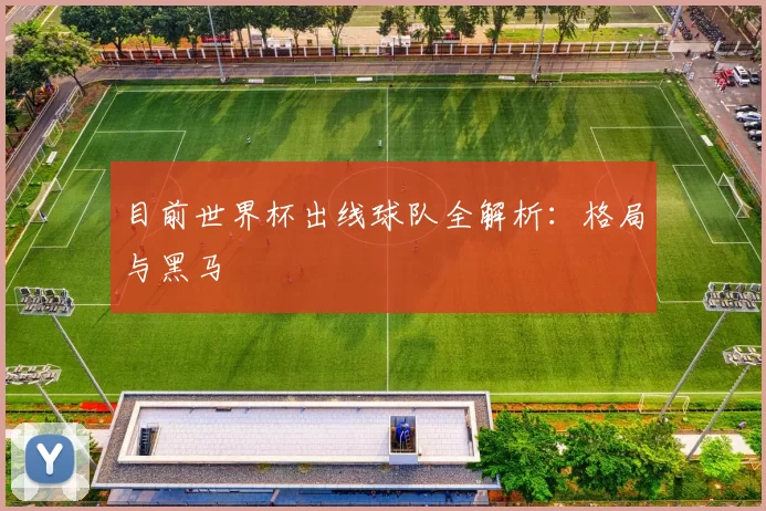 目前世界杯出线球队全解析：格局与黑马
