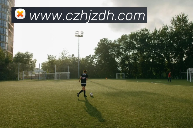 爱游戏官网平台生态图